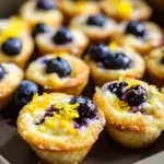 Blueberry and Lemon Zest Cottage Cheese Bites